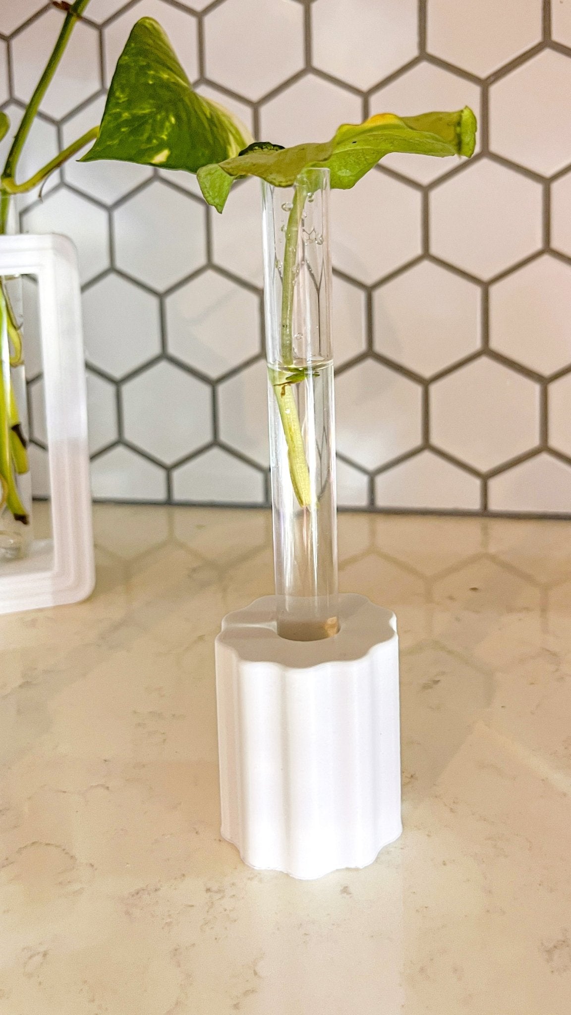 BLOOM Propagation Stand - SAKICA