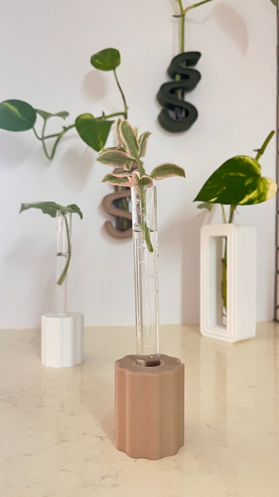 BLOOM Propagation Stand - SAKICA